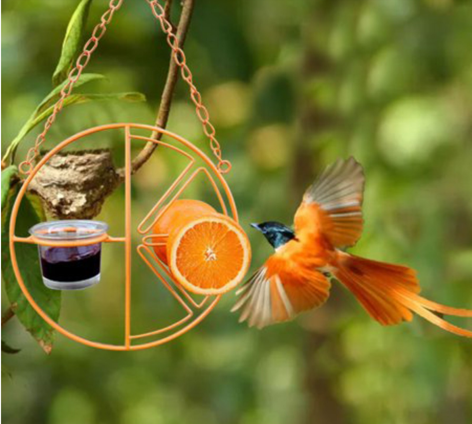 Hanging Metal Bracket For Outdoor Feeding Of Hummingbirds