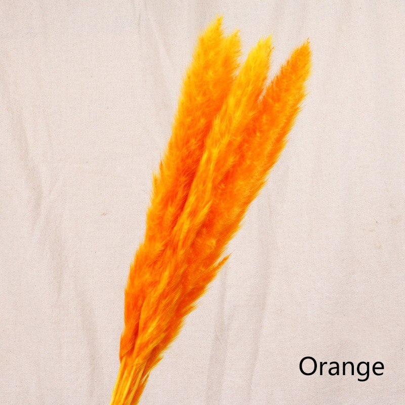 Reed dried flower home decoration