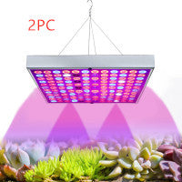 LED Plant Supplement Light For Growing Seedlings In Greenhouses