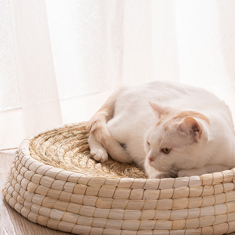 Teng Wok Felt House Cat Bed