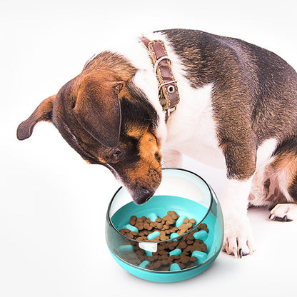 Space Capsule Dog Bowl Dog Bowl Slow Food Bowl Tumbler Cat Bowl