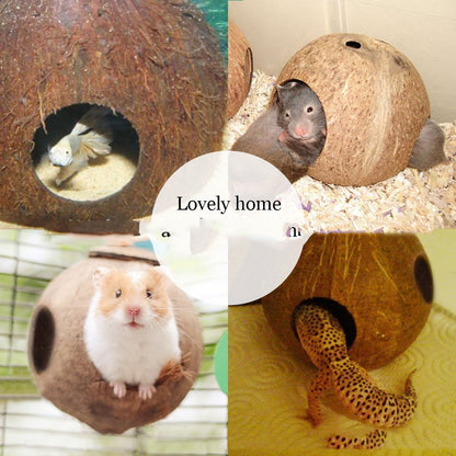 Creative Coconut Shell Bird Nest Feeder