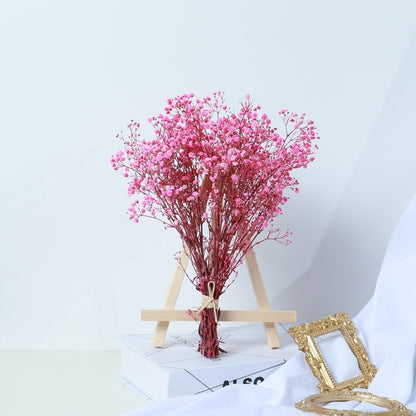 Gypsophila Dried Flower Bouquet Air-dried Real Flower Living Room Decoration