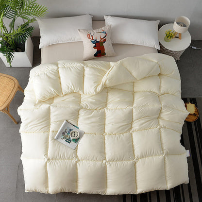 Winter Duvet Quilted Quilt King Queen Twin Size Comforter