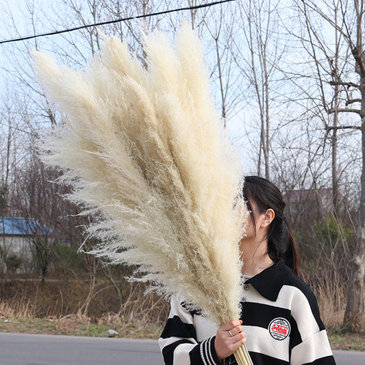 Reed dried flower bouquet