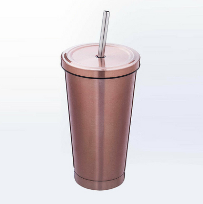 500ML Stainless Steel Empty Tumbler Coffee Cup Mug with Straw Lids Drinking Bottles