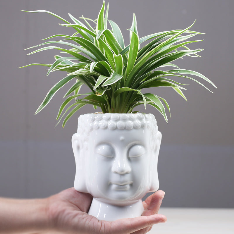 Ceramic buddha white flower pot