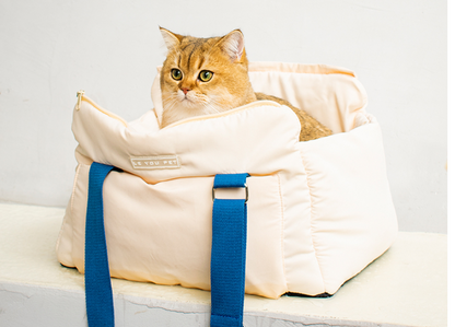 Portable Cat Bag To Carry Pets Out