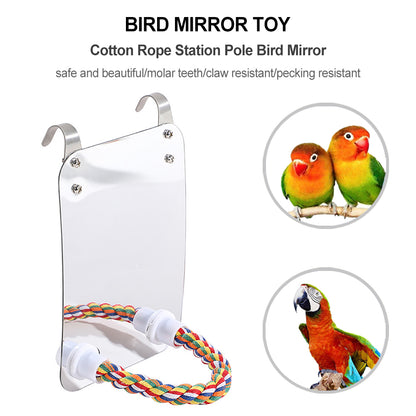 Parrot Toy Acrylic Bird With Mirror