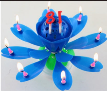 Amazing Lotus Candles