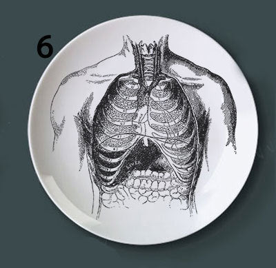 Human bone structure decoration plate