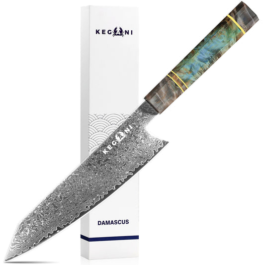 Kegani 8 Inch Kiritsuke Knife -Japanese Chef Knife-Damascus 67-layers VG10 Stainless Steel Kitchen Knife,Professional Chef's Knife For Cutting Meat And Vegetables