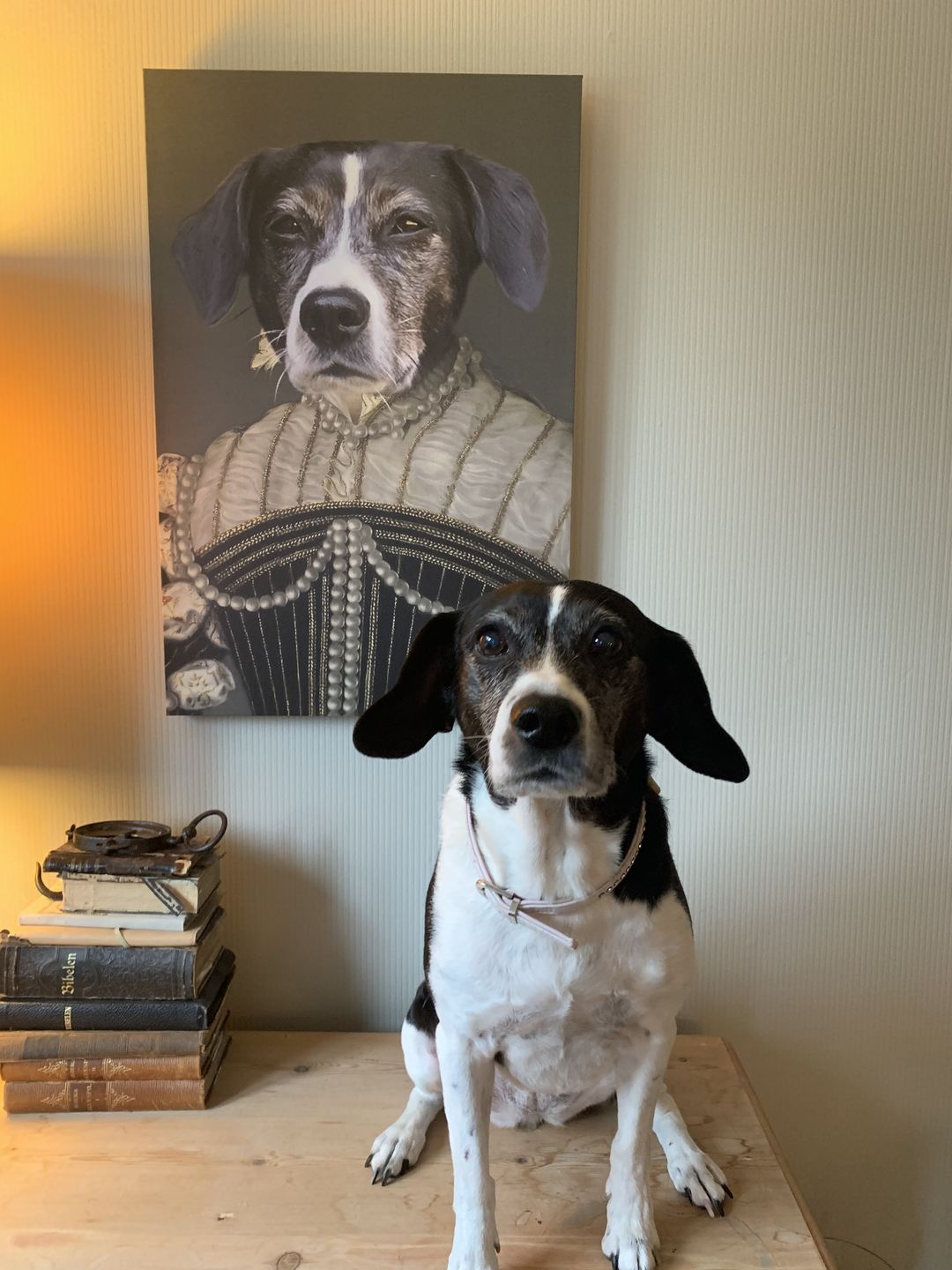 Personalized Pet Canvas Portrait Image