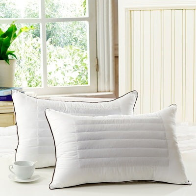 Buckwheat dual-purpose pillow