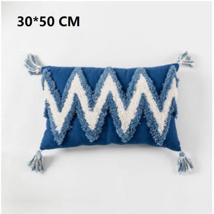 Tassel ethnic cushion