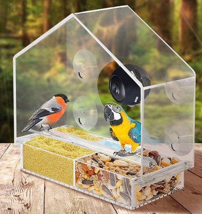 Bird Feeder Camera Live Bird Feeder Cam Bird Buddy Smart Bird Feeder With Camera