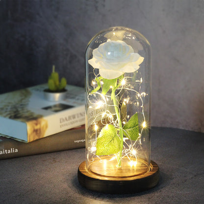 Enchanted Forever Rose Flower in Glass LED Light Christmas Decoration