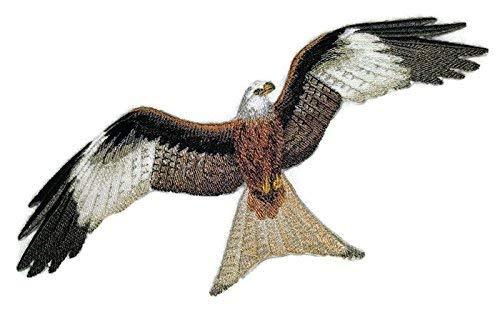 Nature weaved in threads, Birds Kingdom [Red Kite Flying []