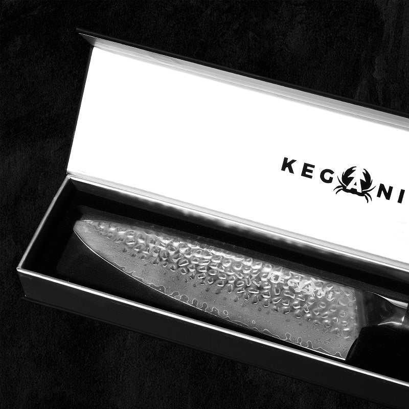 Kegani Chef Knife, 8 Inch Damascus Chefs Knife-Japanese VG10 Super Steel Hammered - G10 Handle Kitchen Knife - Classic Series