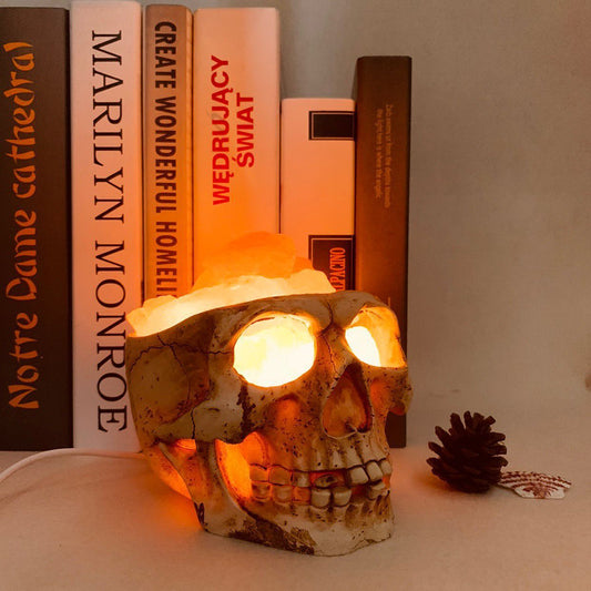 Skull Crystal Salt Lamp USB Dimmable