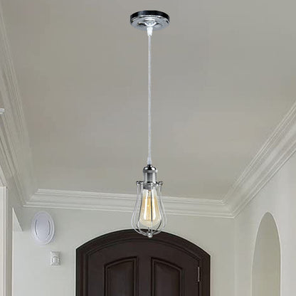 Ceiling Rose Balloon Cage Hanging Pendant Lamp Holder Light Fitting