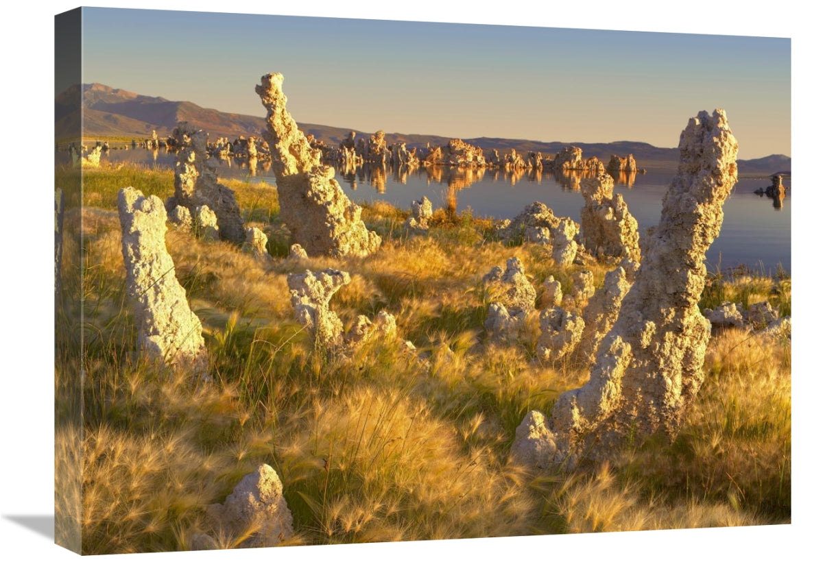 Global Gallery GCS-396975-1824-142 18 x 24 in. Wind & Rain Eroded Tufa