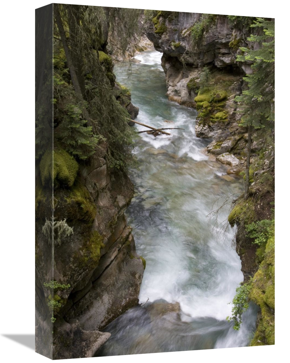 Global Gallery GCS-395481-1218-142 12 x 18 in. Yoho River Flowing Thro