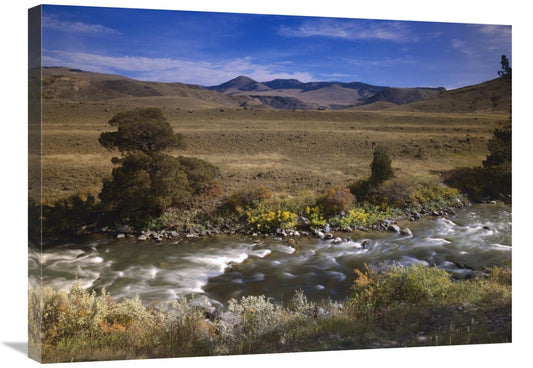 Global Gallery GCS-396621-2432-142 24 x 32 in. River Flowing Though Me