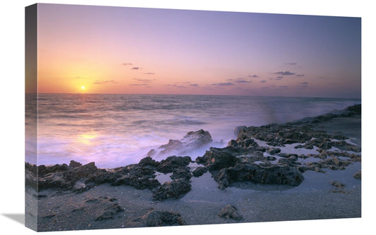 Global Gallery GCS-452059-1624-142 16 x 24 in. Blowing Rocks Preserve