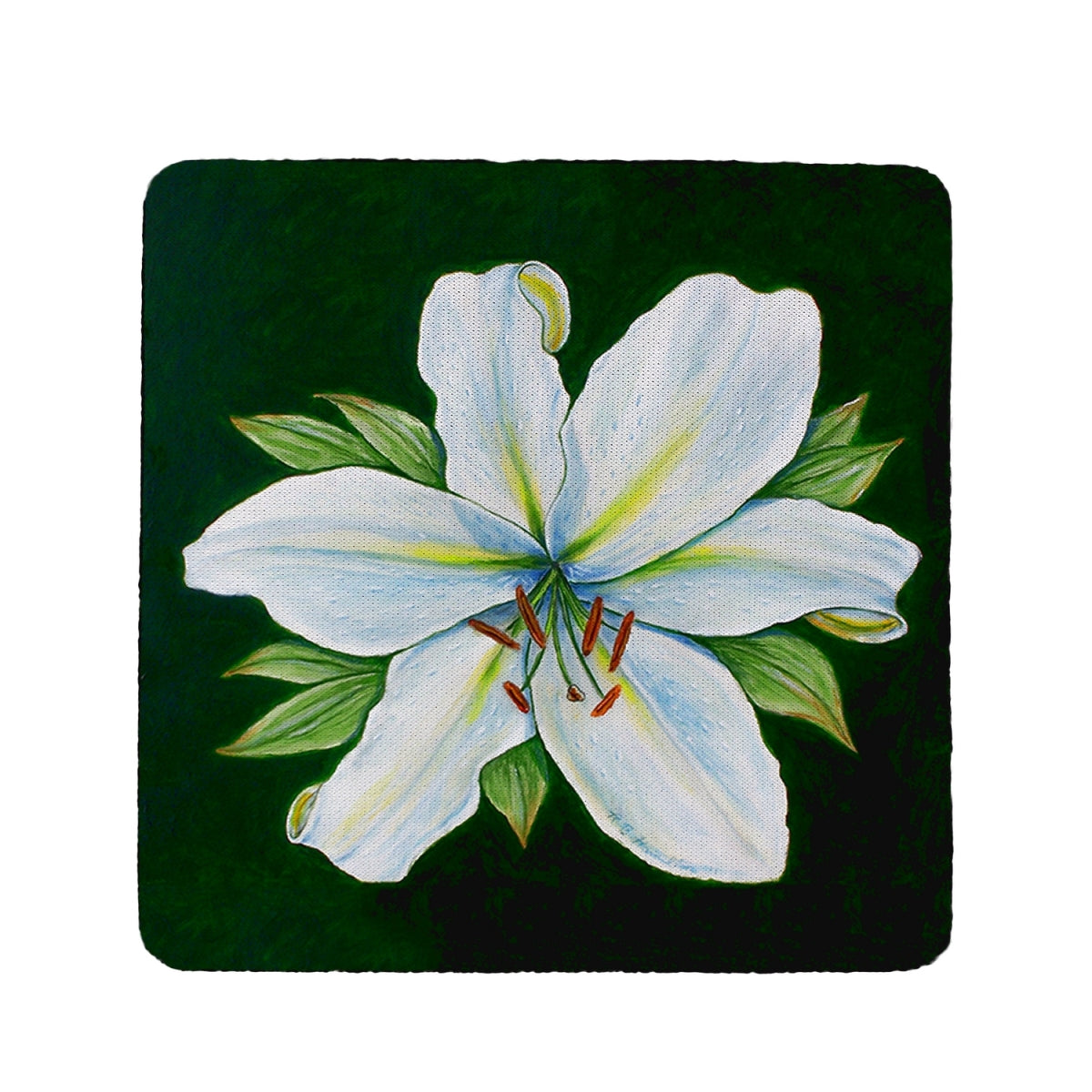 Betsy Drake CT704 Casablanca Lily Coaster - Set of 4