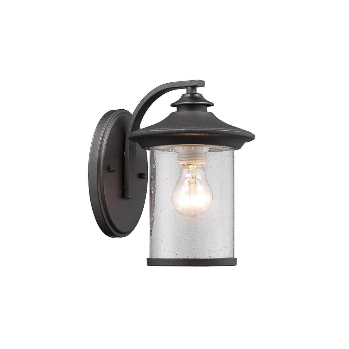 Chloe CH22050BK10-OD1 10 in. Lighting Liam Transitional 1 Light Black