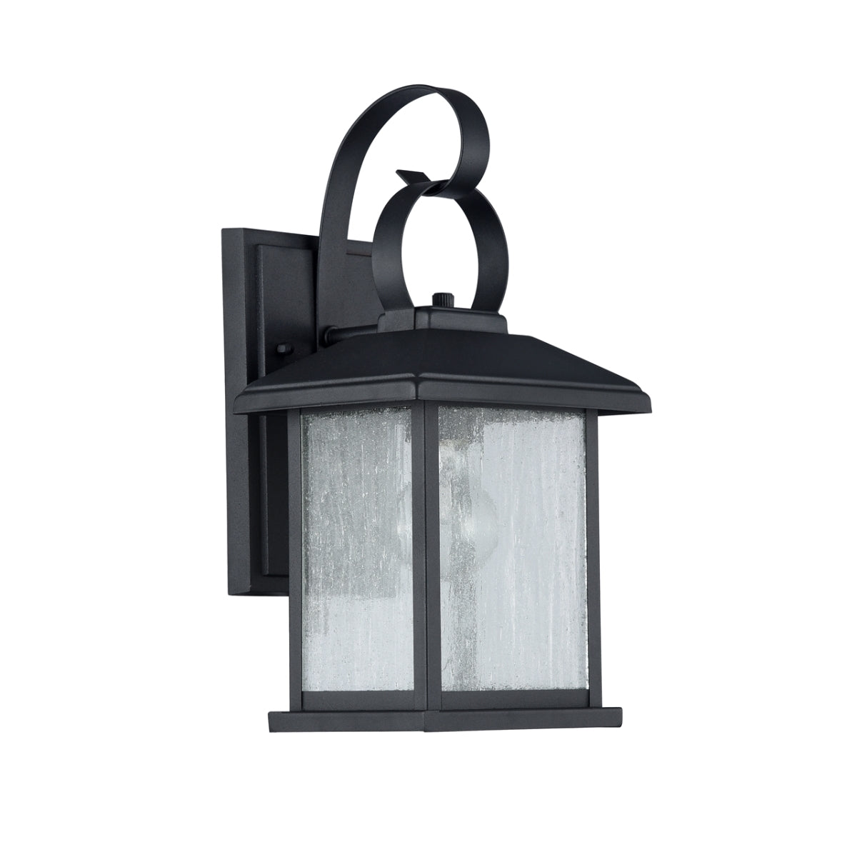 Chloe CH22058BK13-OD1 13 in. Lighting Hinkley Transitional 1 Light Bla