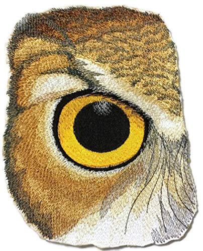 Eye of Owl Embroidered Iron on/Sew Patch [6.87"4.63"]