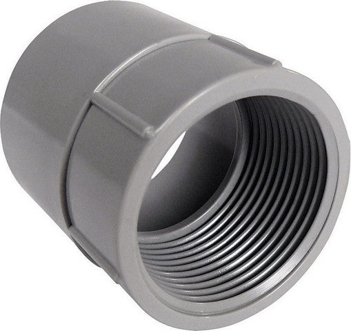 Cantex 5140048C 2 in. PVC Female Adapter