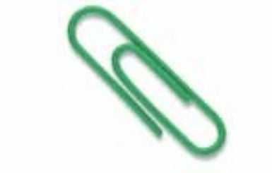 Baumgartens Vinyl Coated Paper Clips #1 Standard Size 100 Pack GREEN (