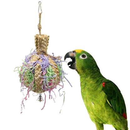 Drawing Straw Rope Toy Parrot Paper