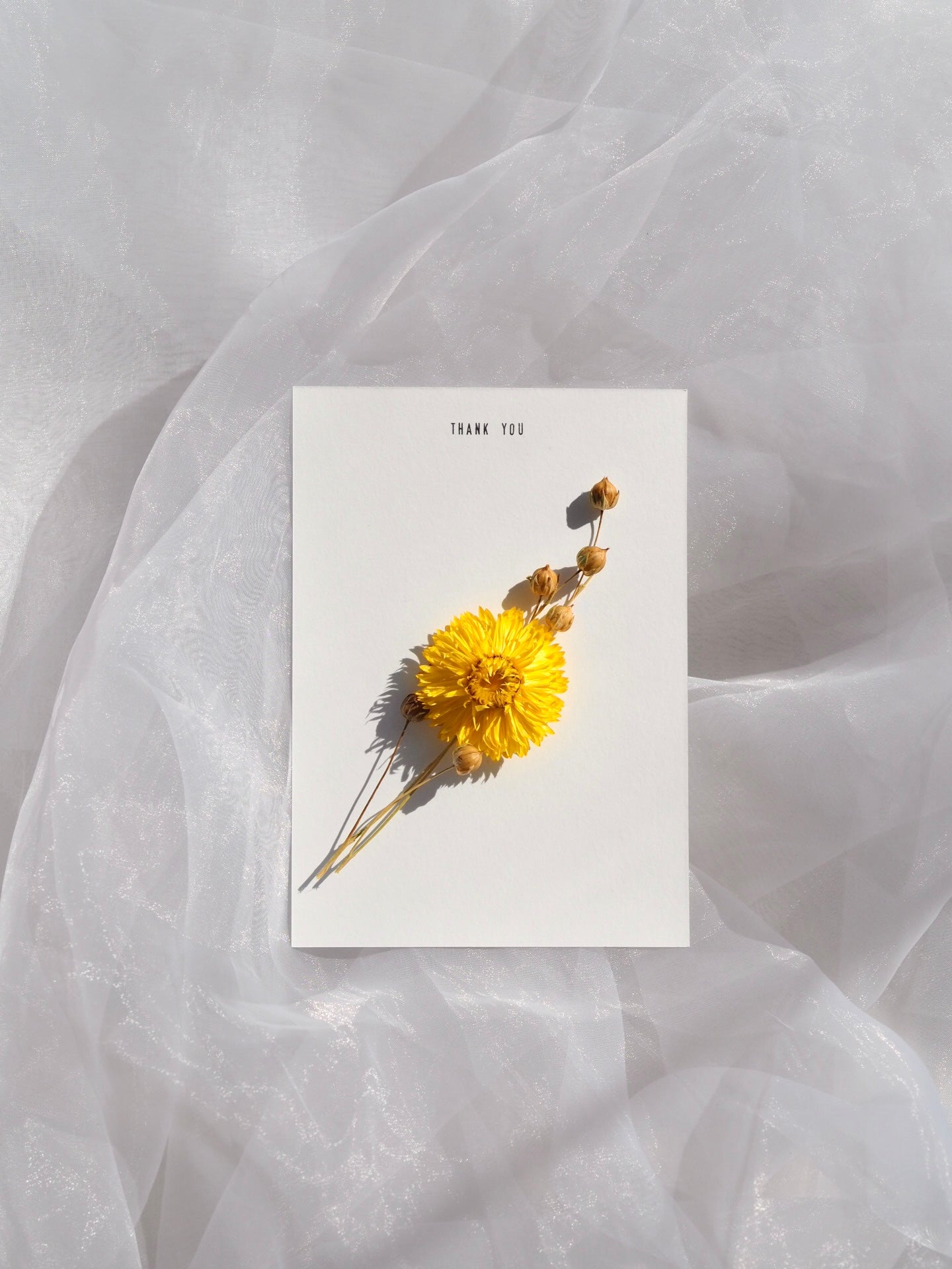 Handmade Dried Flower Greeting Card | Thank You Card