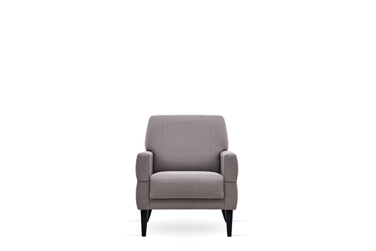 Enza Collection Astera Upholstered Accent Chair Grey